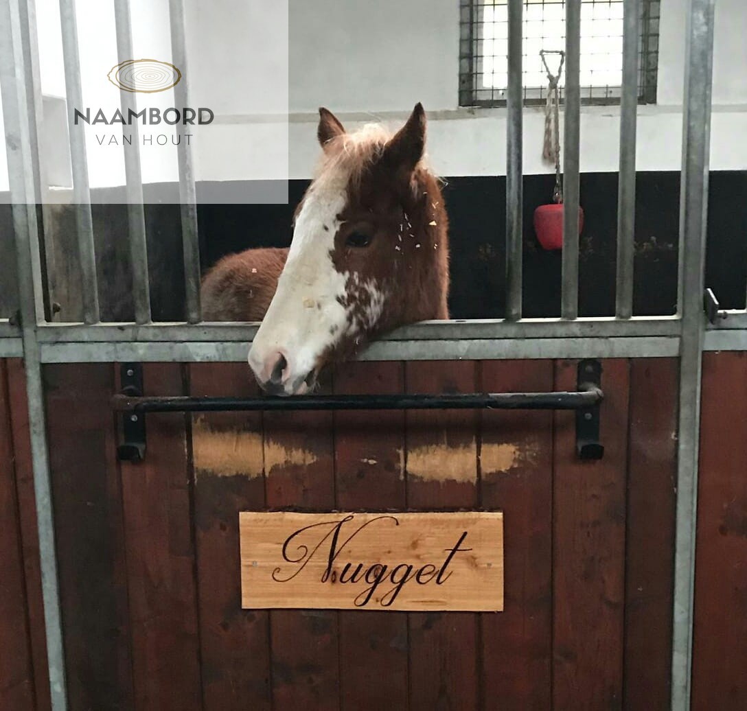 Naambord paard