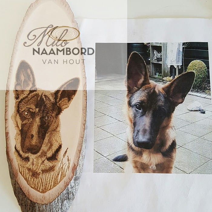 Workshop Pyrografie ogen - Afbeelding 7